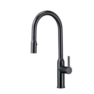 TAP-107016 無鉛抽拉廚房龍頭/黑
