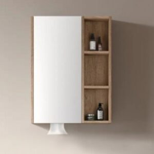 KQ-S2160A  不鏽鋼鏡櫃/寬60公分/附面紙孔