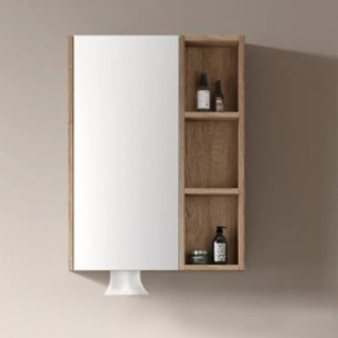 KQ-S2160A 不鏽鋼鏡櫃/寬60公分/附面紙孔